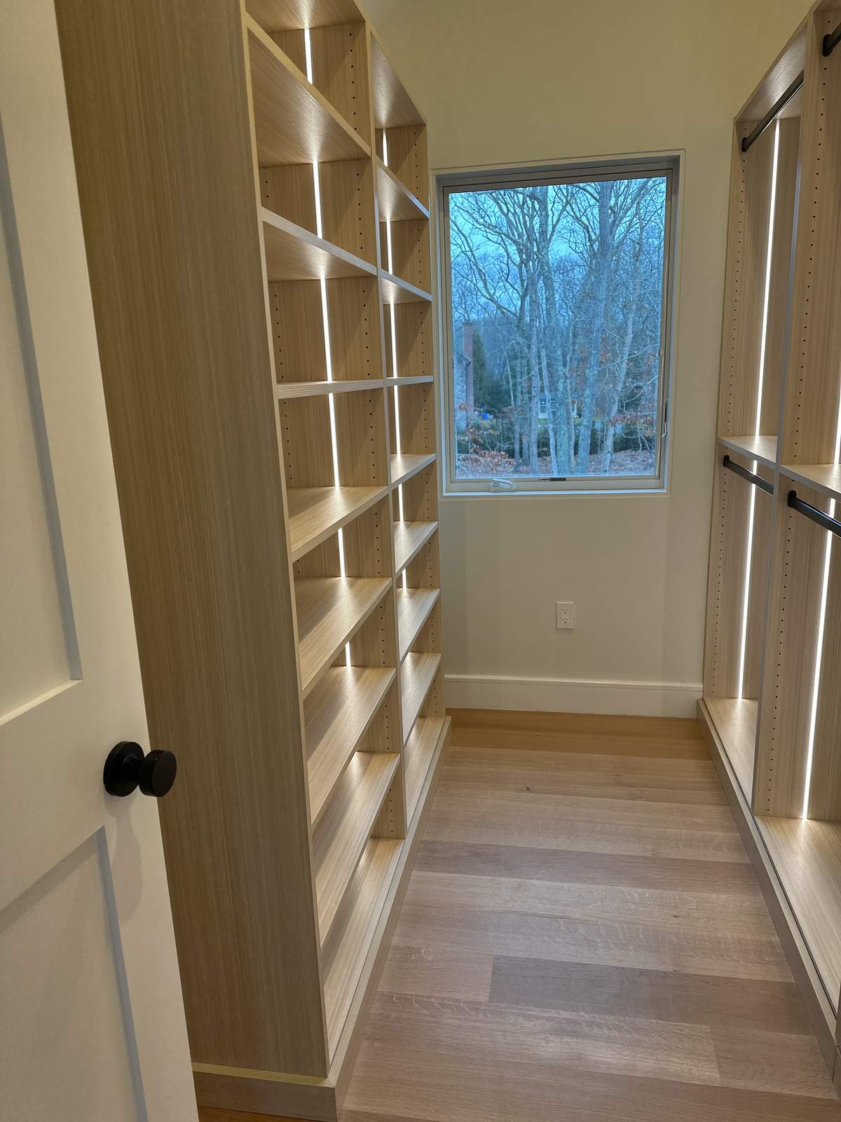 Built-in bookcase with adjustable shelves and trim detail